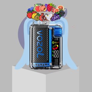 وزول - پادیکبارمصرف 20 هزارپاف سری ویستا / Vozol - Vista 20000 Puff 5%